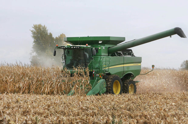 Fall harvest